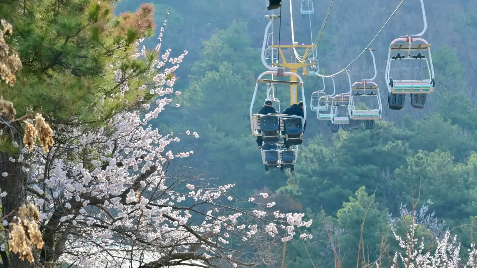 Two Day Beijing Tours