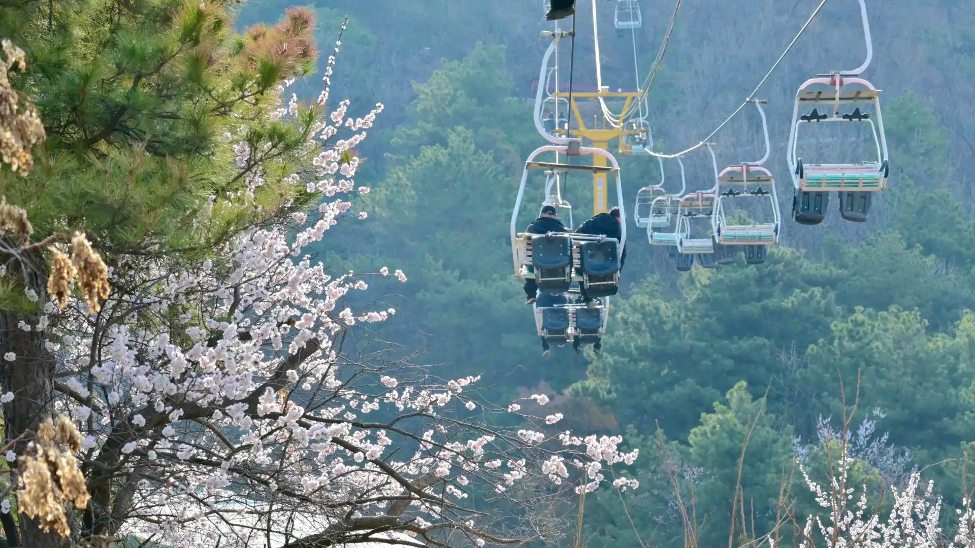 2 Day Private Tours in Beijing | In-Depth 2-Day Experiences